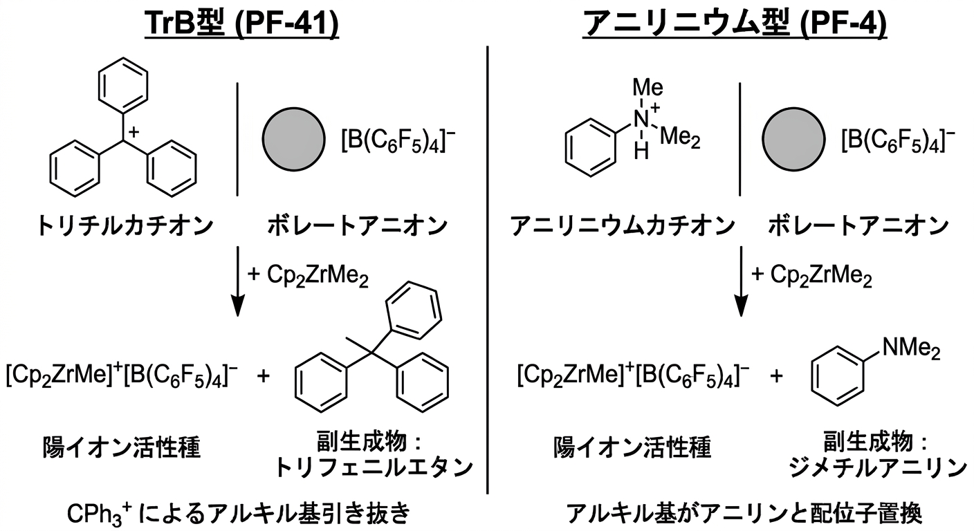 TrB型（PF-41）とアニリニウム型（PF-4）の活性化反応比較