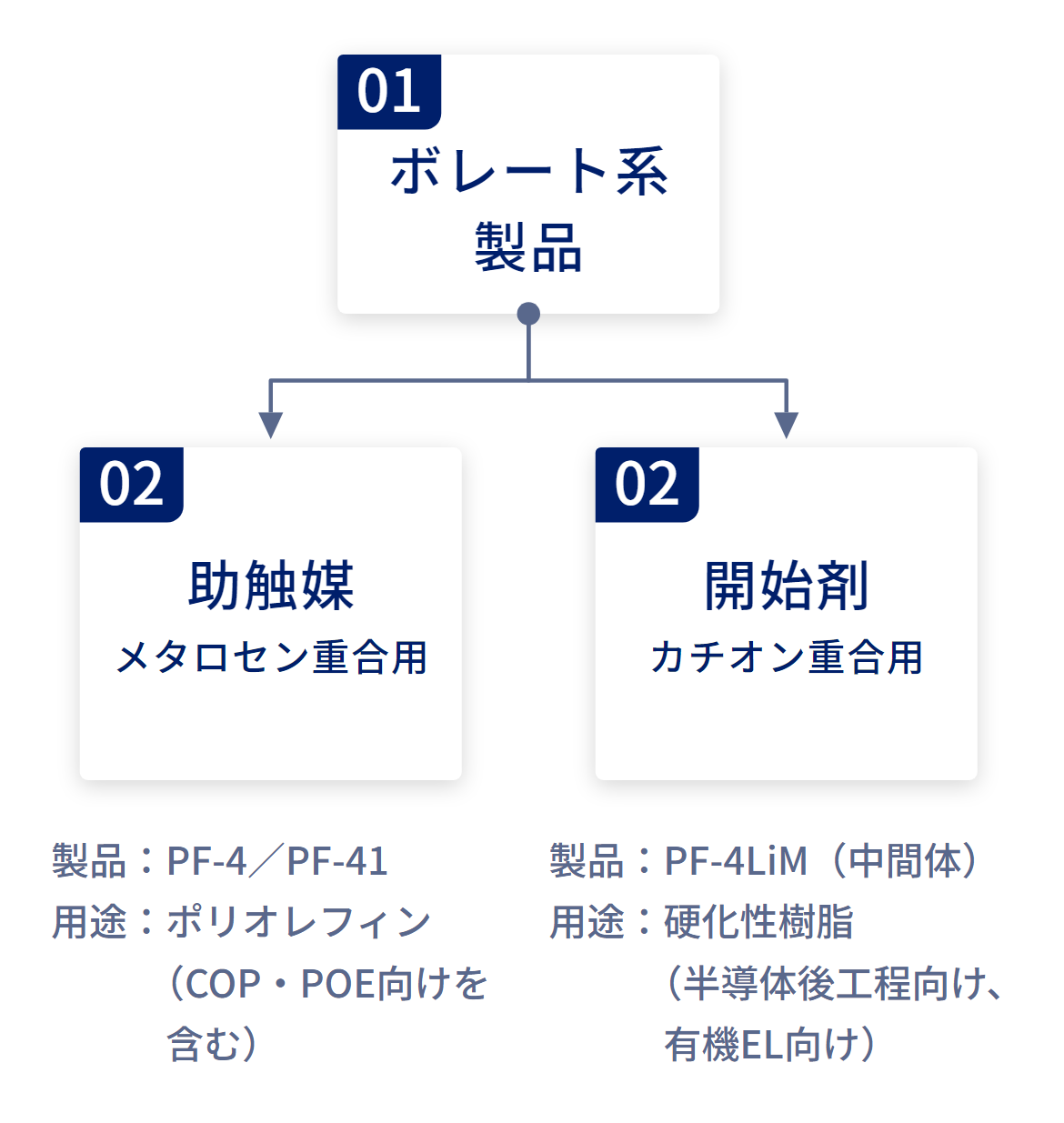 ボレート系製品の全体像図解（助触媒（メタロセン重合用）／開始剤（カチオン重合用）への分岐）